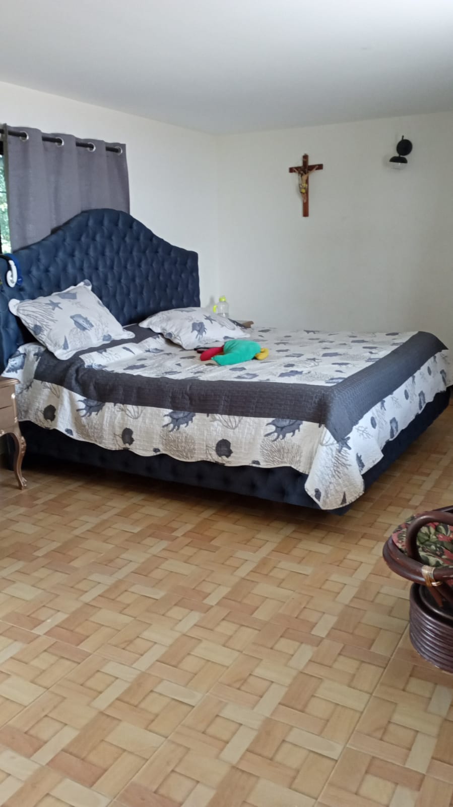 Finca en el Eje Cafetero